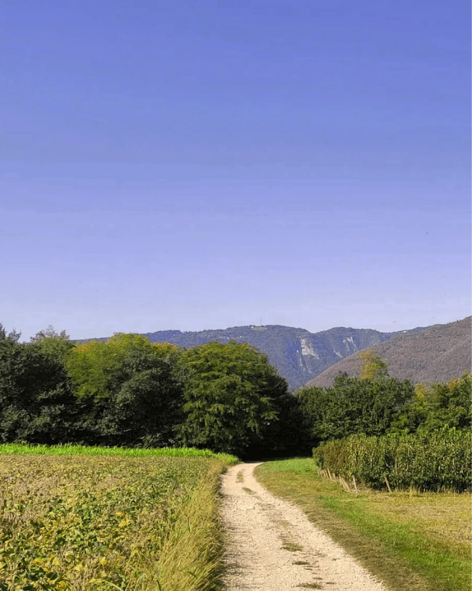 Itinerari gravel - Bike Hotel Garden Relais
