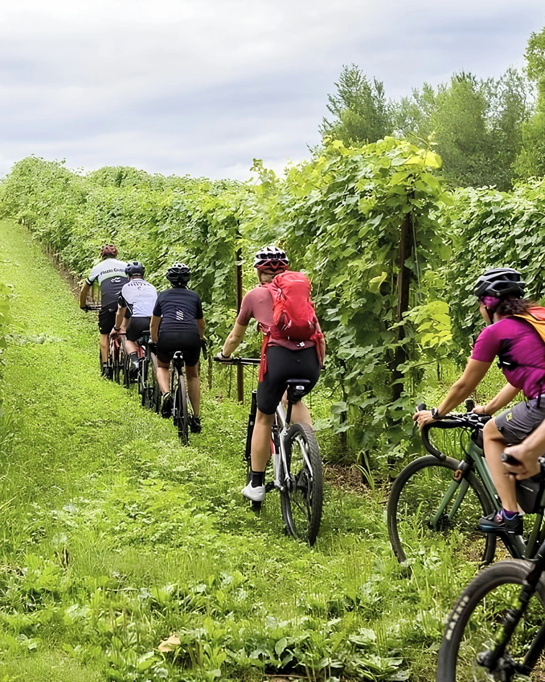 Bike Hotel nel cuore del Veneto - Garden Relais